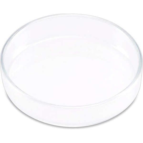 HS Aqua Glazen Voederplaat