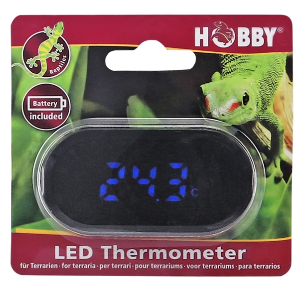 Hobby Thermometer LED