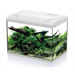 HS Aqua Platy 50 LED Aquarium