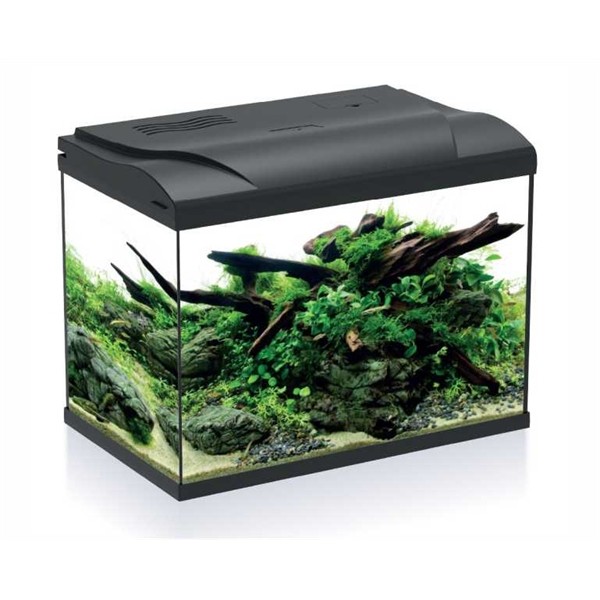 HS Aqua Platy 50 LED Aquarium