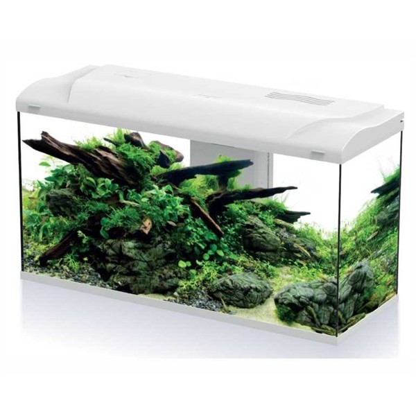 HS Aqua Platy Bio 110 LED Aquarium
