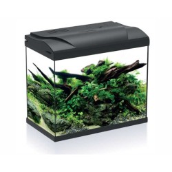HS Aqua Platy 30 LED Aquarium