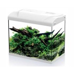 HS Aqua Platy 30 LED Aquarium