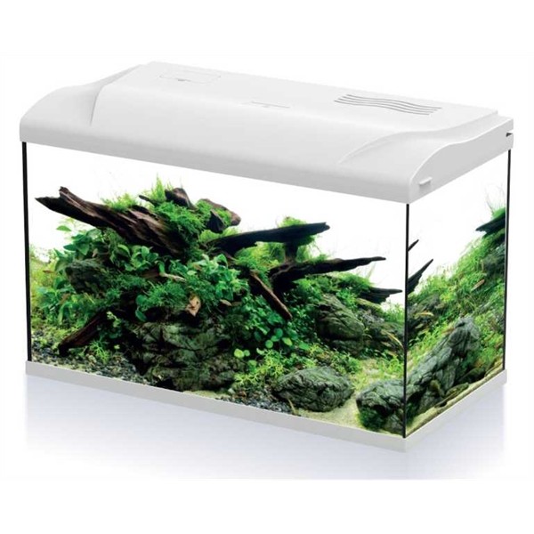 HS Aqua Platy 70 LED Aquarium
