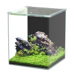 Aquatlantis Kubus Curve Basic