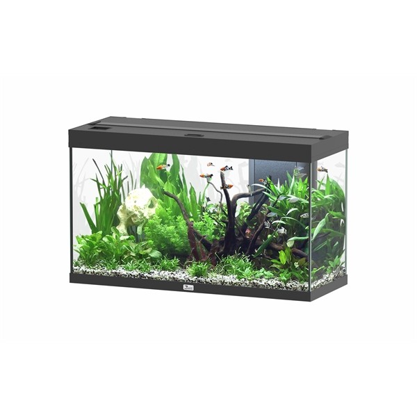 Aquatlantis Splendid 100 Ultra Biobox