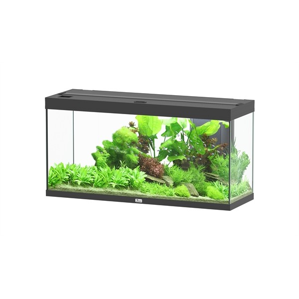Aquatlantis Splendid 120x40 Ultra Biobox