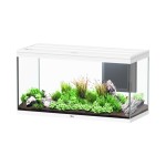 Aquatlantis Splendid 120x50 Ultra Biobox