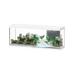 Aquatlantis Splendid 150x40 Ultra Biobox
