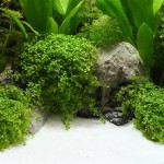 Dennerle Natural Gravel Bairaman 0,1-0,6 MM