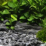 Dennerle Natural Gravel Kongo 10–30 MM