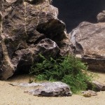 Dennerle Natural Gravel Mekong 0,1-0,6 MM