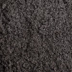 Dennerle Nano Garnalengrind Sulwesi Zwart