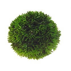 Hobby Plant Aqua Ball