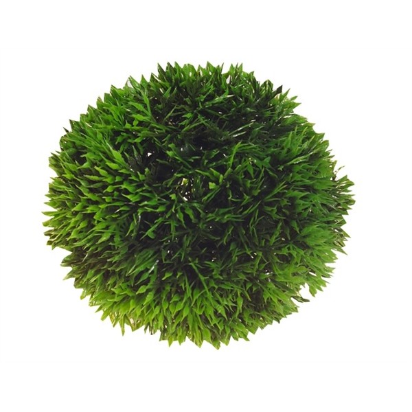 Hobby Plant Aqua Ball