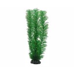Hobby Plant Egeria