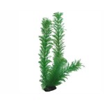 Hobby Plant Egeria