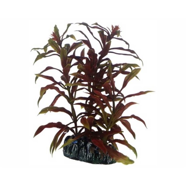Hobby Plant Nesaea 13 CM