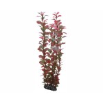 Hobby Plant Ludwigia