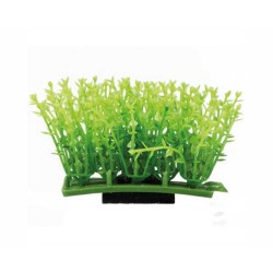 Hobby Plant Pad 1