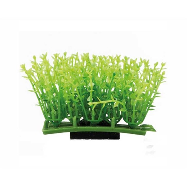Hobby Plant Pad 1