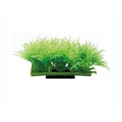 Hobby Plant Pad 2