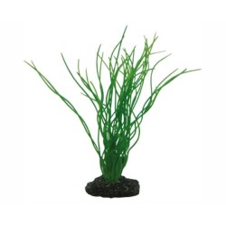Hobby Plant Sagittaria 20 CM