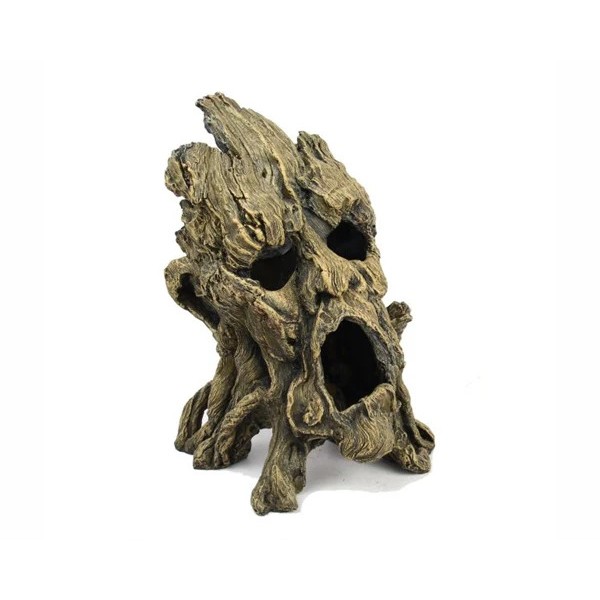 Blue Belle Pacific Tree Face