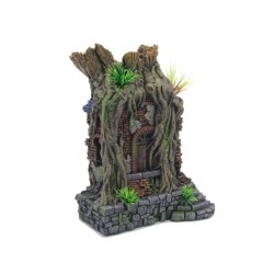 Blue Belle Pacific Anchor With Castle Ruin