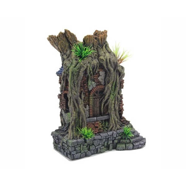 Blue Belle Pacific Anchor With Castle Ruin