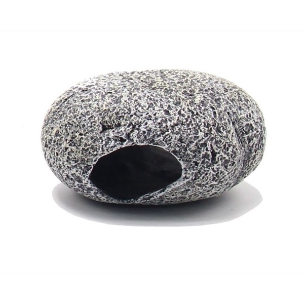 Blue Belle Pacific Hiding Stone S