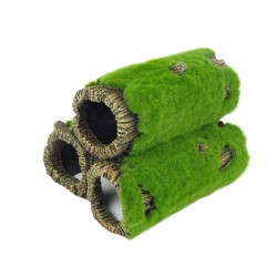 Blue Belle Pacific Mossy Rock S