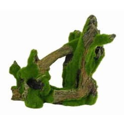 Blue Belle Pacific Mossy Trunker 2