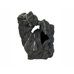 Blue Belle Pacific Rockin Fellas Leopard 1