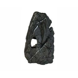 Blue Belle Pacific Rockin Fellas Leopard 2