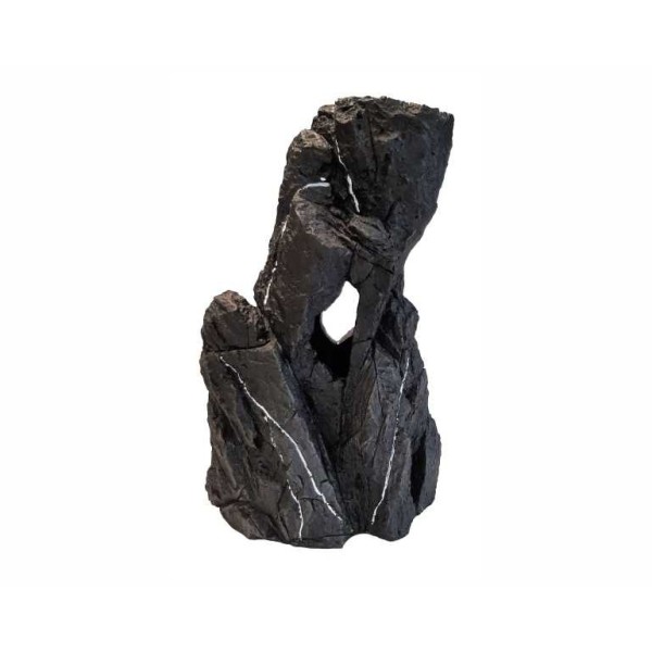 Blue Belle Pacific Rockin Fellas Leopard 3