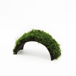 Kokosnoot Armband Met Javamos