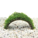 Kokosnoot Armband Met Javamos