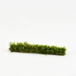 Bamboestok Met Javamos