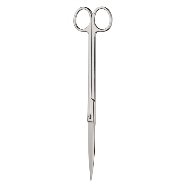 Chihiros Schaar Recht 21 cm