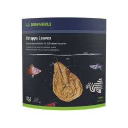 Dennerle Catappa Leaves