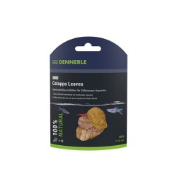 Dennerle Nano Catappa Leaves