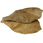 Dennerle Nano Catappa Leaves