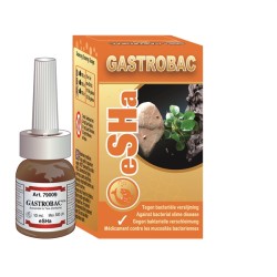 eSHa Gastrobac eSHa Gastrobac
