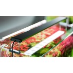 Chihiros B Series LED Verlichting